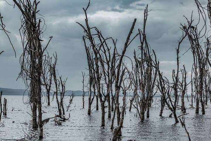 Lake Naivasha Boat ride and Crescent island walk from Nairobi