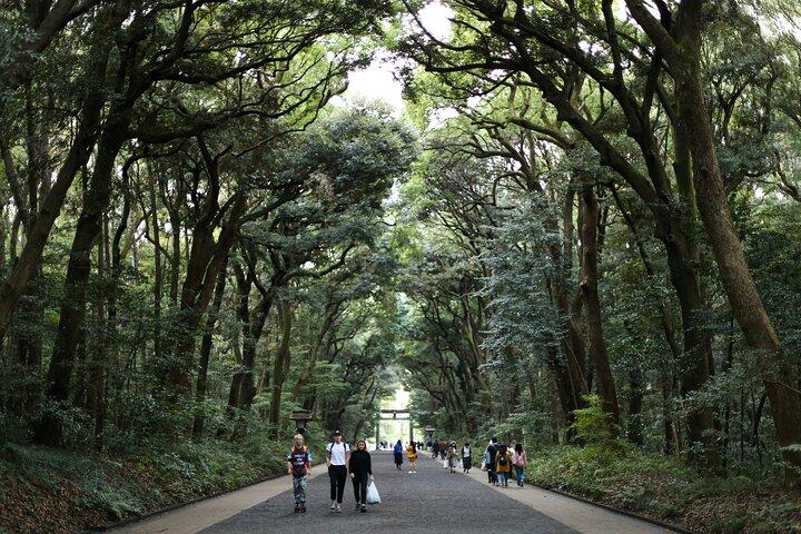 Tokyo Tailored 4 Hours Private Guided Tour