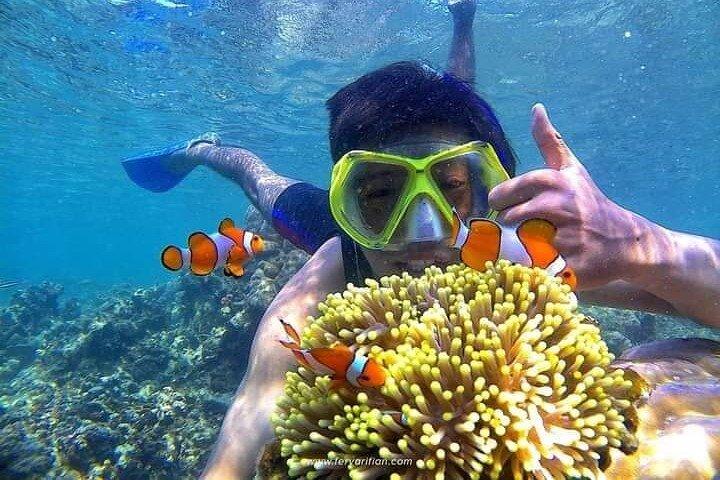 Bali : Snorkeling Trip - Blue Lagoon & Tanjung Jepun with Lunch