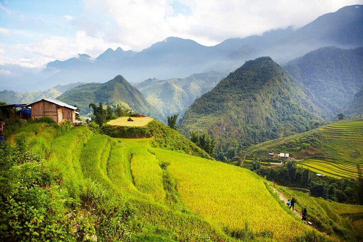 5-Day North Vietnam: Sa Pa - Ninh Binh - Halong Cruise from Hanoi