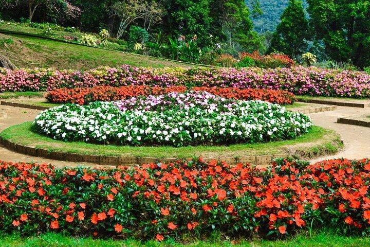 Nuwara Eliya Private Day Trip from Mirissa