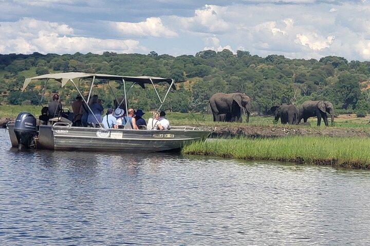 Chobe Safari Full-Day Tour to Botswana