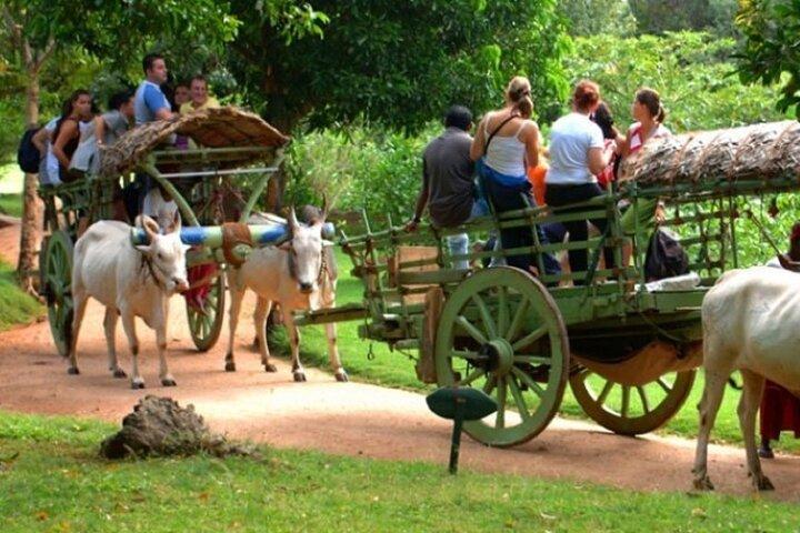Sigiriya and Village Safari Day Trip from Pasikuda and Kalkuda