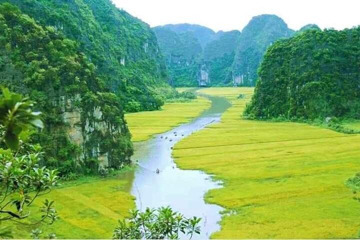 PRIVATE TOUR Ninh Binh One Day - Hoa lu- Tam Coc - Mua Cave