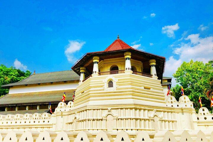 Luxury Kandy City Tour