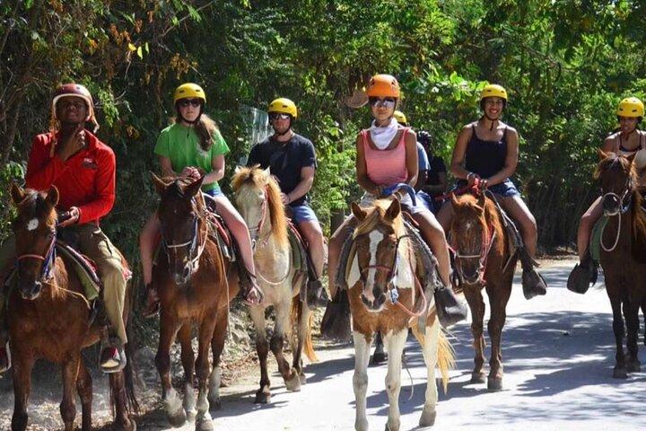 Horseback Riding on the Beaches Fields and Forests of Punta Cana