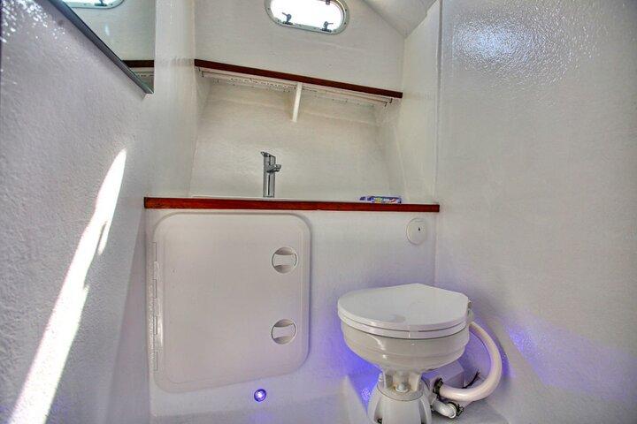 Santorini Private Cruise Sightseeing Tour with BBQ and Drinks