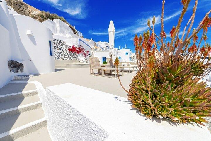 Half-Day Santorini South Coast and Akrotiri Tour from Fira