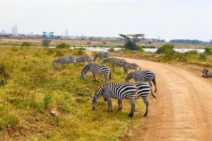 Nairobi National Park Private Half Day Tour