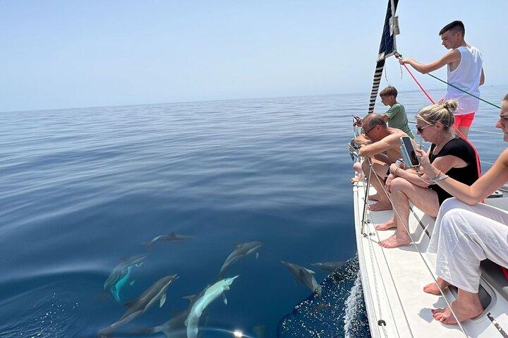 Experience sharing sailboat Marbella, dolphins, drinks ,elan 37