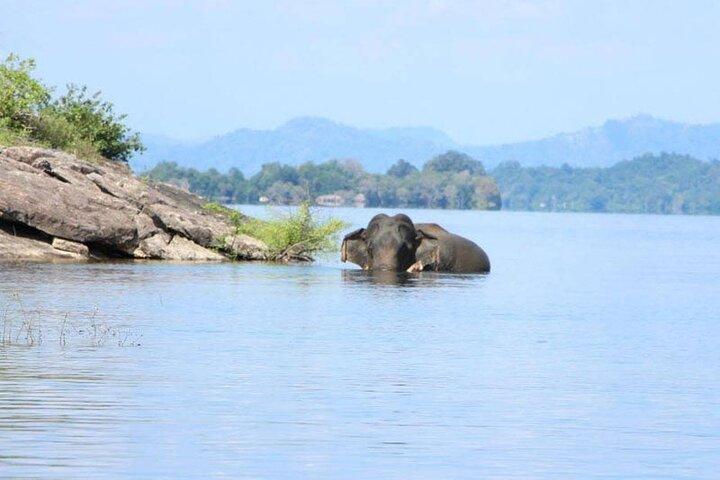 Gal Oya Safari and Vedda Safari Day Trip from Pasikuda/Kalkuda