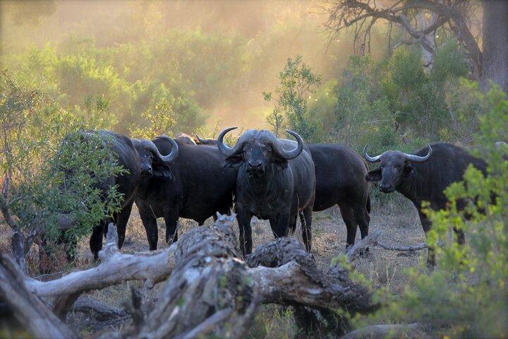 Best 3-Days 2-nights Tanzania Private Budget Camping Safari