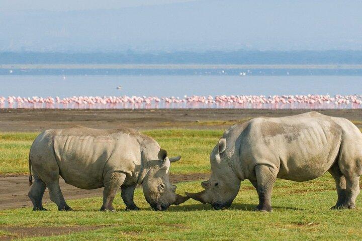 11 Days Kenya Big Five Bush & Beach Safari
