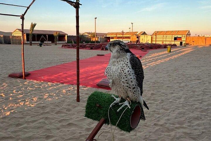 Al Ain Desert Safari with Buffet Dinner