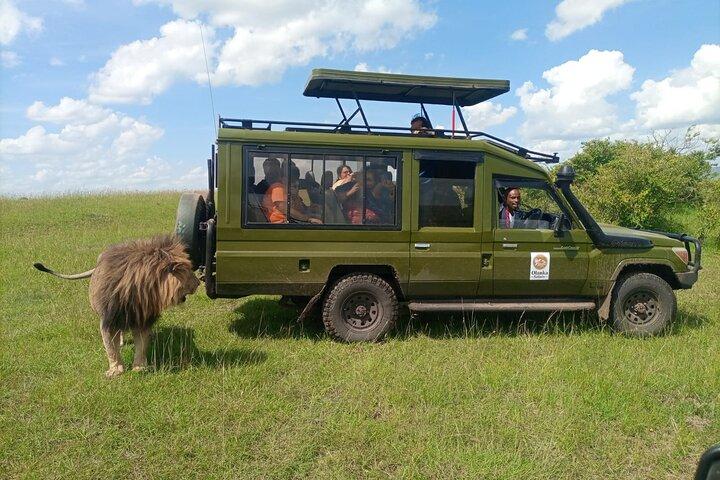 3 Days, 2 Nights Masai Mara Kenya Safari from Nairobi