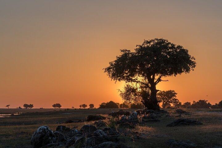 Mosi oa Tunya National Park Game Drive & White Rhino- Livingstone