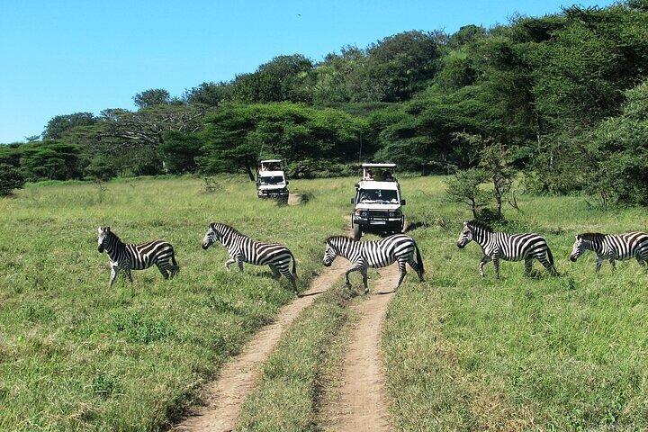 5 Days Exclusive Camping Adventure in Northern Tanzania