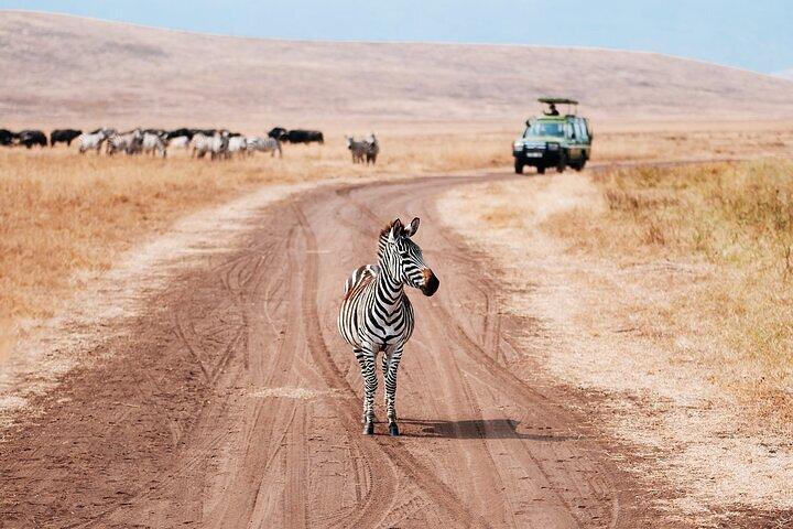 4 Day Ngorongoro Crater Tarangire and Serengeti National Park