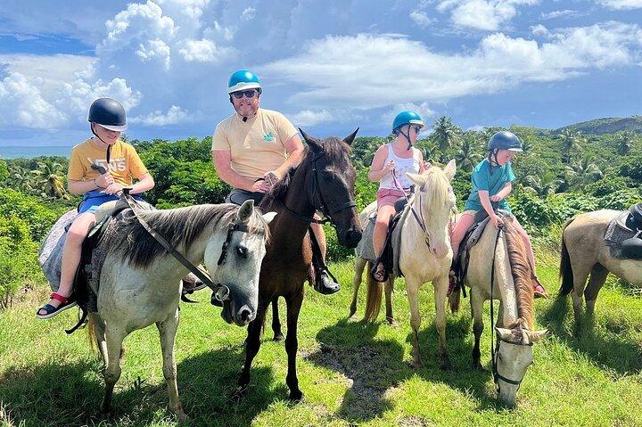 East Coast Horseback Riding, Waterfall & Soufriere Private Tour