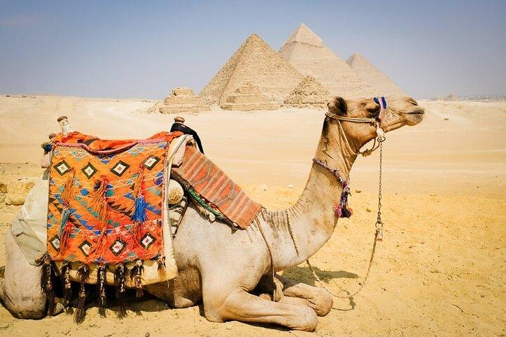 Best 2 Days In Cairo And Alexandria