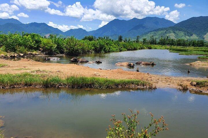 Motorbike Tour From Hue to Danang or Hoi An via Hai Van Pass