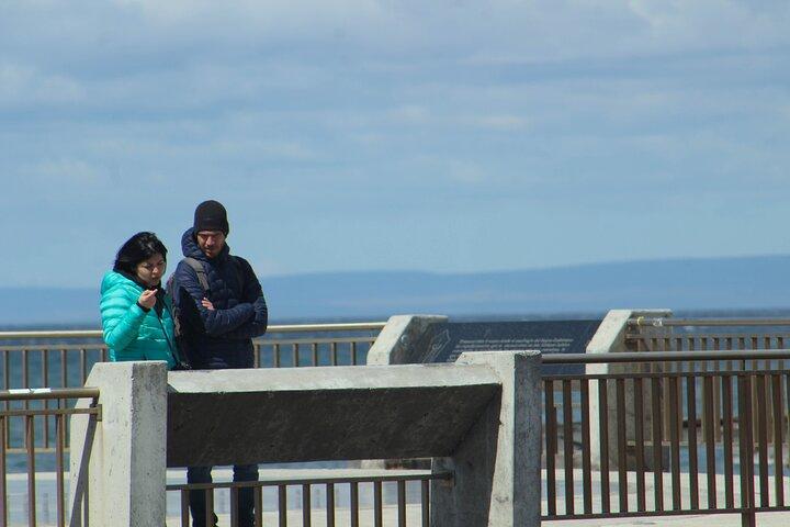 Punta Arenas Antarctic History Private City Tour