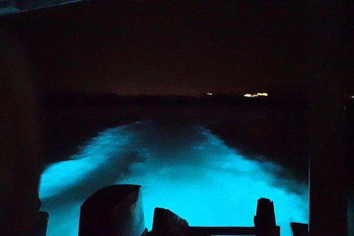 Luminous lagoon Night Tour Montego Bay