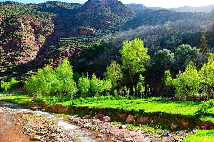 Day Trip from Marrakech Explore the Atlas Mountains and 4 Valleys