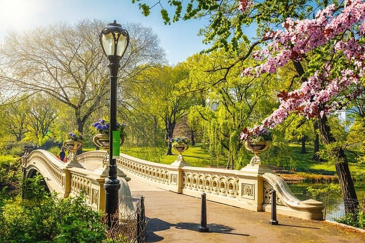 NYC: Sightseeing Day Trip with Statue of Liberty Visit