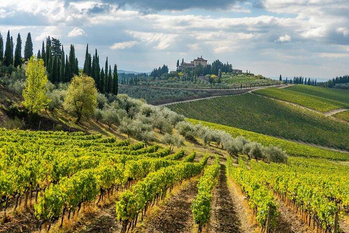 Chianti Wine Tour - Private Wine experience in Tuscany Countryside