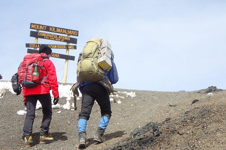 7-Day Kilimanjaro Trekking Tour via Machame Route
