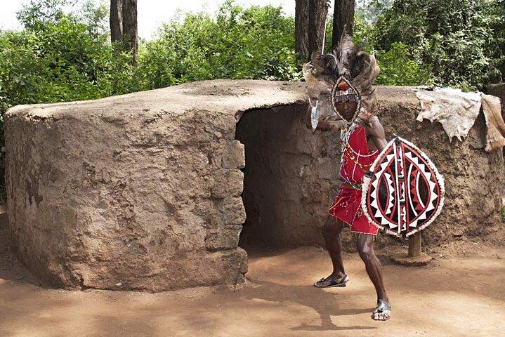 Private Afternoon Tour to Bomas of Kenya
