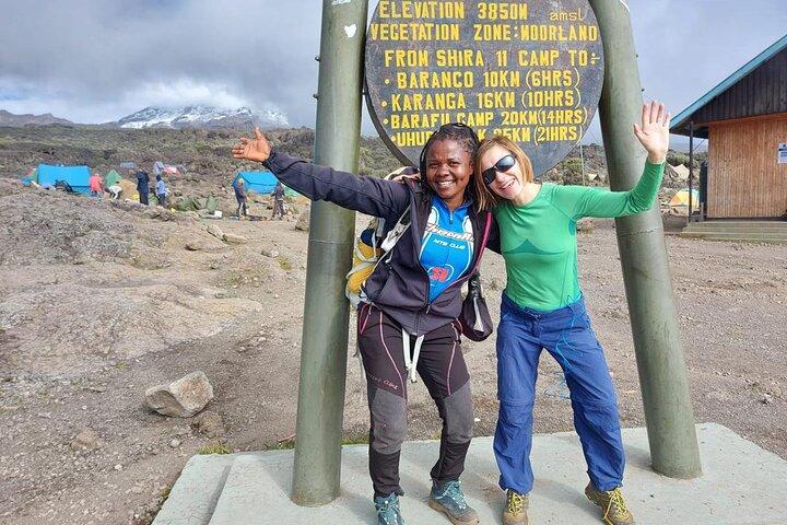 10 Day Northern Circuit Route Kilimanjaro Climb Expedition