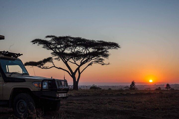 9 Day Tanzania Budget Camping Safari