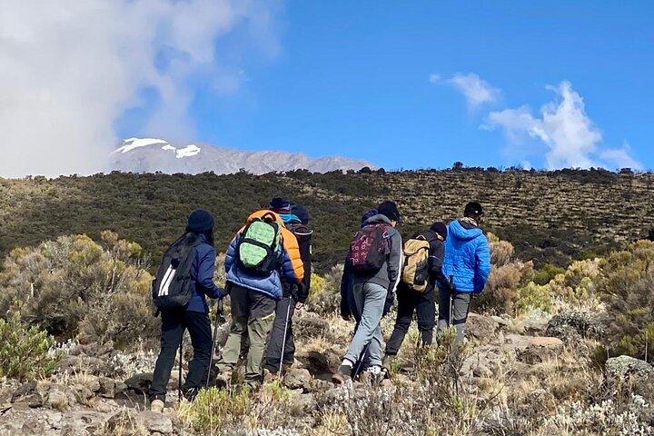 7 Days Mount Kilimanjaro Machame Route