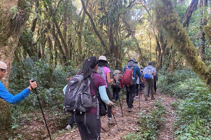 7 Days Mount Kilimanjaro Machame Route