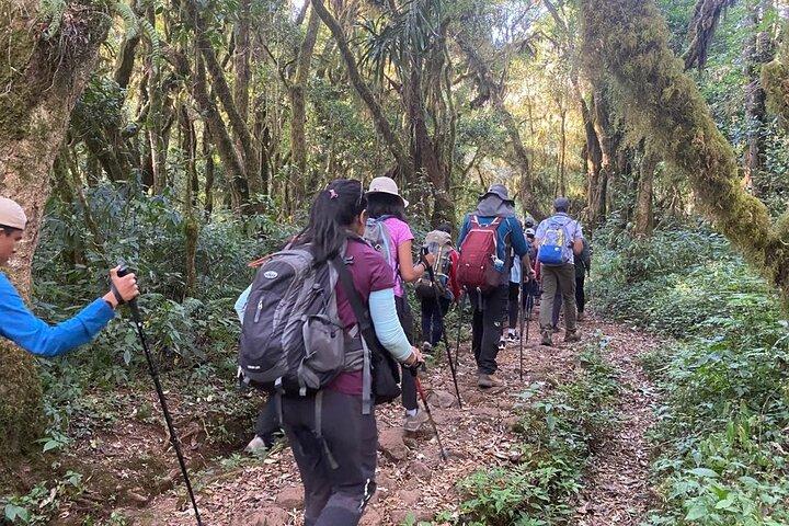 5 Day Kilimanjaro Climb Through Marangu Route with Huts