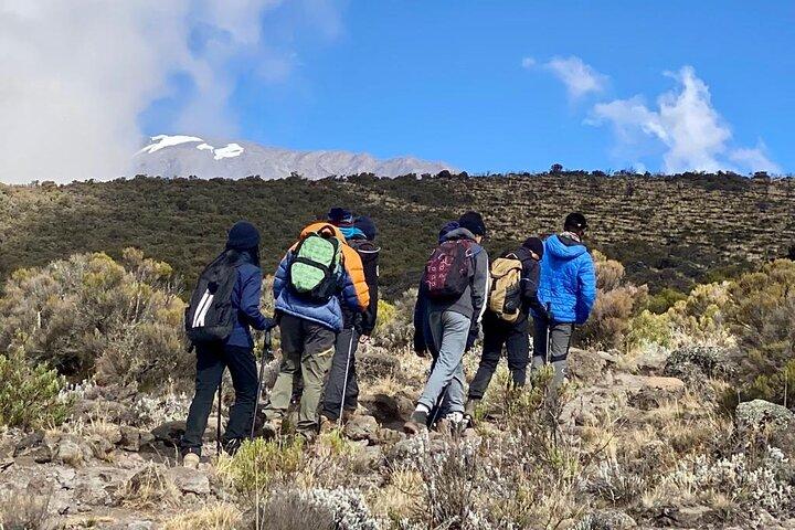 5 Day Kilimanjaro Climb Through Marangu Route with Huts