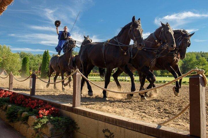 Budapest to Godollo Palace Private tour with Horse Show Option