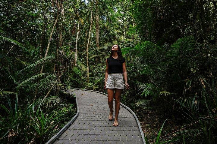 Daintree, Cape Tribulation & River Cruise from Port Douglas