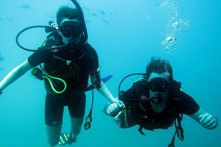 Discover Scuba diving with 2 dives on Koh Tao Or Koh Nangyuan