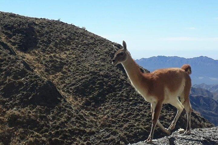 Discover Villavicencio Natural Reserve: Half-Day Adventure