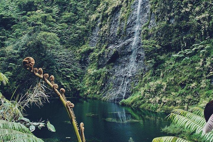Crossing Over Tahiti Island Safari 4x4