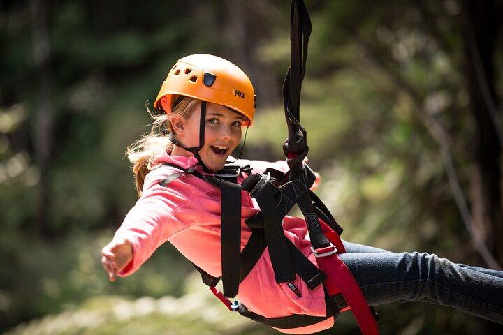 Adventurous Zipline Tour in Coromandel