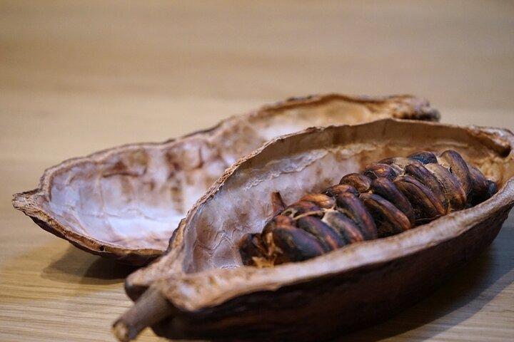The Turin Chocolate Class & Tasting