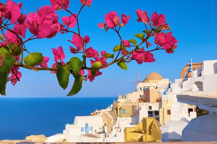 Private Half day - Best of Santorini and Wine Tasting tour