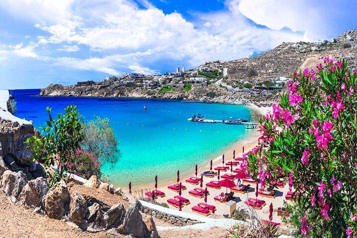 Best Shore Excursion Discovering Mykonos from Cruise Port