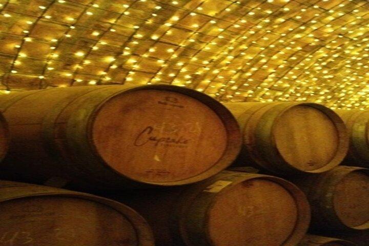 Private Experience of Tequila Town from Jalisco