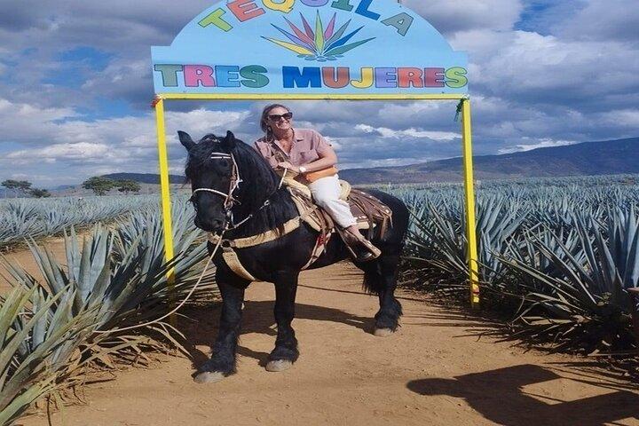 Private Experience of Tequila Town from Jalisco