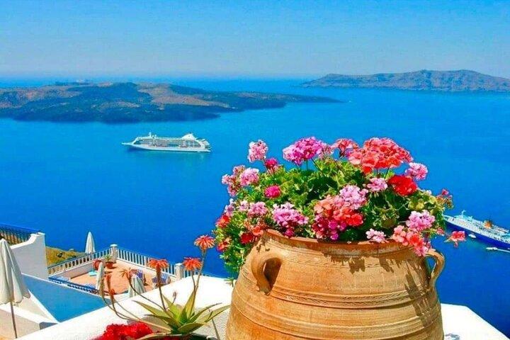 5 Hour Skip Tram Lines Cruise-Friendly Tour & Wine Experience